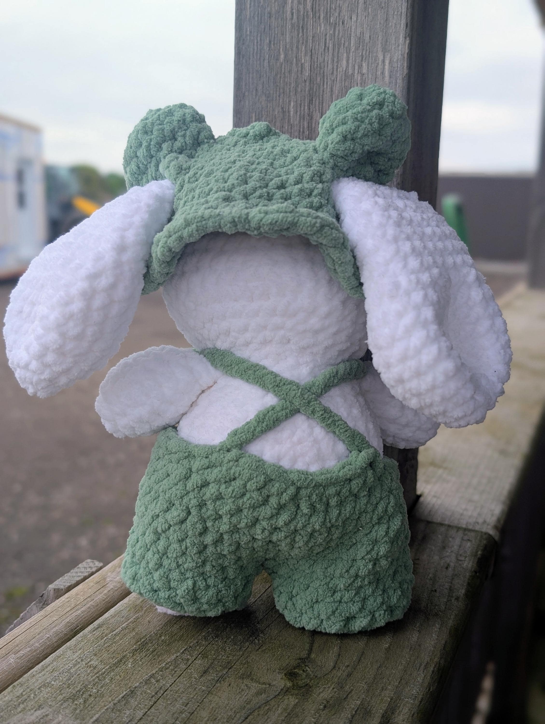 Handmade Crochet Bunny Plush | Frog Costume, Soft Kawaii Amigurumi Toy